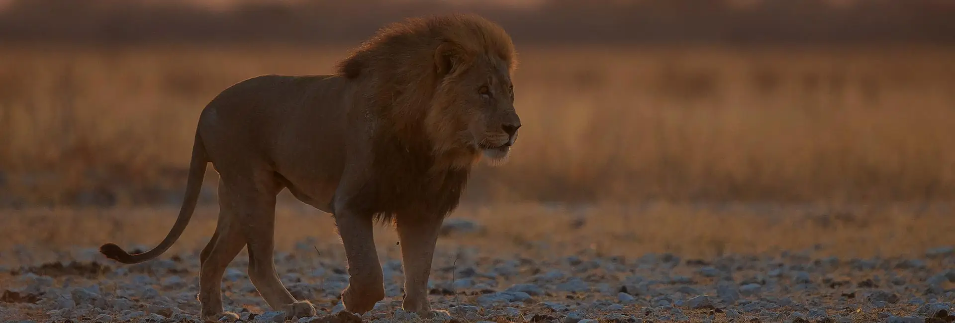 14 Day Exclusive classic Namibia tour