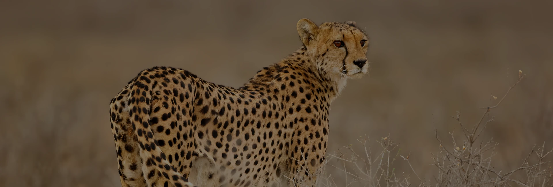 14 Day Classic Namibia Tour