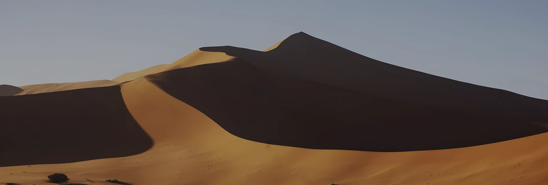 5 Day Wildlife and Namib Desert Tour 