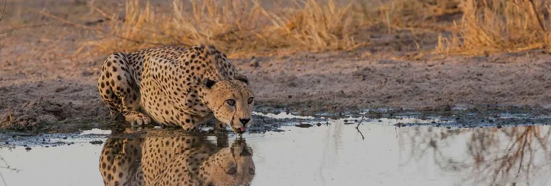 Central Kalahari Game Reserve